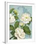 Camellias-Pamela Gladding-Framed Art Print