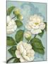 Camellias-Pamela Gladding-Mounted Art Print