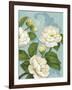 Camellias-Pamela Gladding-Framed Art Print
