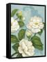 Camellias-Pamela Gladding-Framed Stretched Canvas