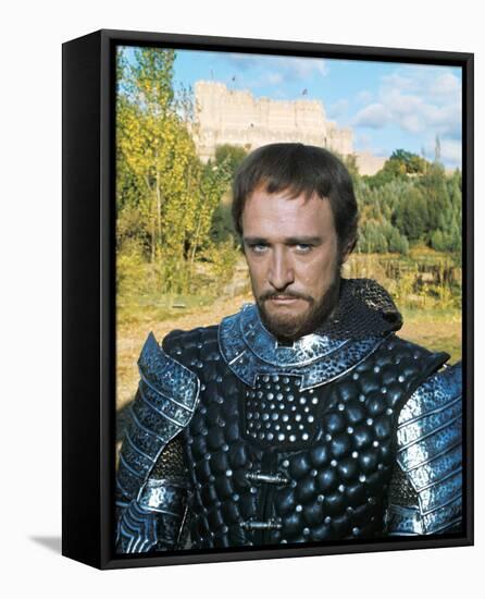 Camelot-null-Framed Stretched Canvas