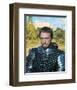 Camelot-null-Framed Photo