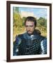 Camelot-null-Framed Photo