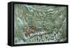 Camelot-Bill Bell-Framed Stretched Canvas