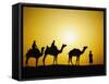 Camels and camel driver silhouetted at sunset, Thar Desert, Jodhpur, India-Adam Jones-Framed Stretched Canvas