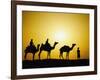 Camels and camel driver silhouetted at sunset, Thar Desert, Jodhpur, India-Adam Jones-Framed Premium Photographic Print