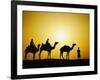 Camels and camel driver silhouetted at sunset, Thar Desert, Jodhpur, India-Adam Jones-Framed Premium Photographic Print