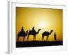 Camels and camel driver silhouetted at sunset, Thar Desert, Jodhpur, India-Adam Jones-Framed Photographic Print