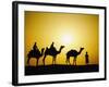 Camels and camel driver silhouetted at sunset, Thar Desert, Jodhpur, India-Adam Jones-Framed Photographic Print