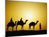 Camels and camel driver silhouetted at sunset, Thar Desert, Jodhpur, India-Adam Jones-Mounted Photographic Print