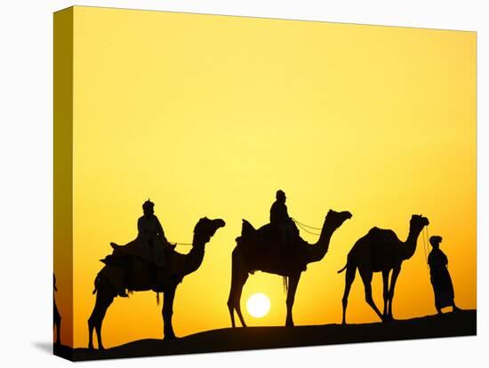 Camels and camel driver silhouetted at sunset, Thar Desert, Jodhpur, India-Adam Jones-Stretched Canvas