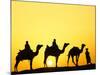 Camels and camel driver silhouetted at sunset, Thar Desert, Jodhpur, India-Adam Jones-Mounted Premium Photographic Print