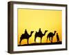 Camels and camel driver silhouetted at sunset, Thar Desert, Jodhpur, India-Adam Jones-Framed Photographic Print