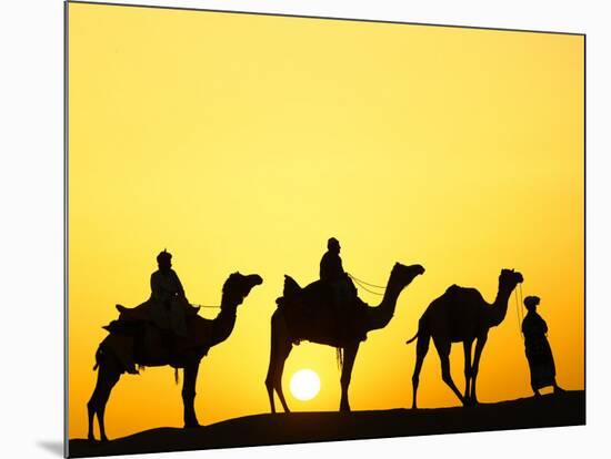 Camels and camel driver silhouetted at sunset, Thar Desert, Jodhpur, India-Adam Jones-Mounted Photographic Print