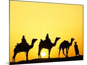 Camels and camel driver silhouetted at sunset, Thar Desert, Jodhpur, India-Adam Jones-Mounted Photographic Print