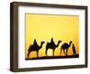 Camels and camel driver silhouetted at sunset, Thar Desert, Jodhpur, India-Adam Jones-Framed Photographic Print