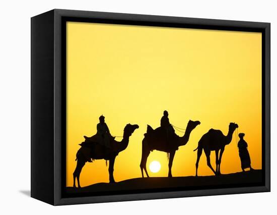 Camels and camel driver silhouetted at sunset, Thar Desert, Jodhpur, India-Adam Jones-Framed Stretched Canvas