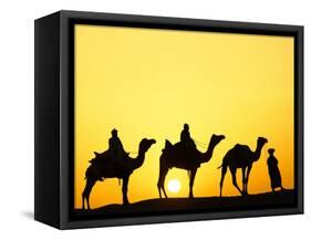 Camels and camel driver silhouetted at sunset, Thar Desert, Jodhpur, India-Adam Jones-Framed Stretched Canvas