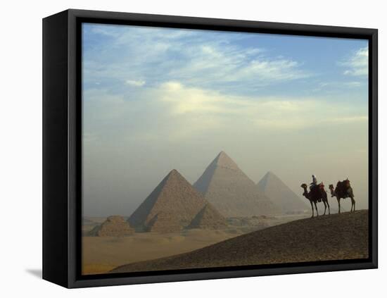 Camels and Driver at the Pyramids Complex, Egypt-Claudia Adams-Framed Stretched Canvas
