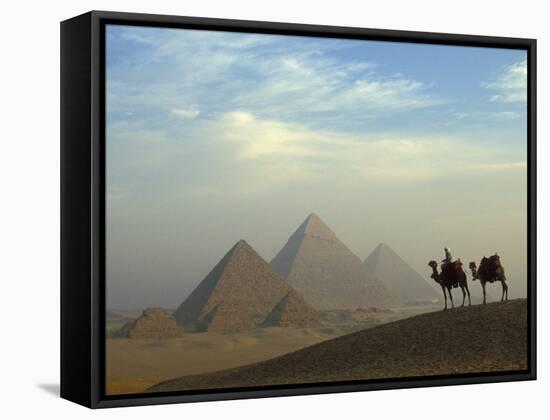 Camels and Driver at the Pyramids Complex, Egypt-Claudia Adams-Framed Stretched Canvas