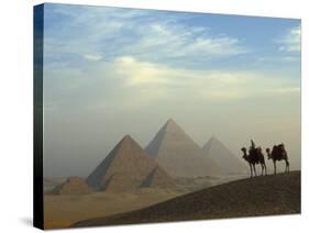 Camels and Driver at the Pyramids Complex, Egypt-Claudia Adams-Stretched Canvas