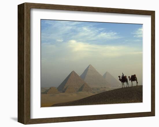 Camels and Driver at the Pyramids Complex, Egypt-Claudia Adams-Framed Premium Photographic Print