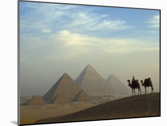 Camels and Driver at the Pyramids Complex, Egypt-Claudia Adams-Mounted Premium Photographic Print