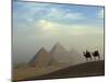 Camels and Driver at the Pyramids Complex, Egypt-Claudia Adams-Mounted Premium Photographic Print