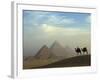 Camels and Driver at the Pyramids Complex, Egypt-Claudia Adams-Framed Photographic Print