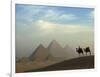 Camels and Driver at the Pyramids Complex, Egypt-Claudia Adams-Framed Photographic Print