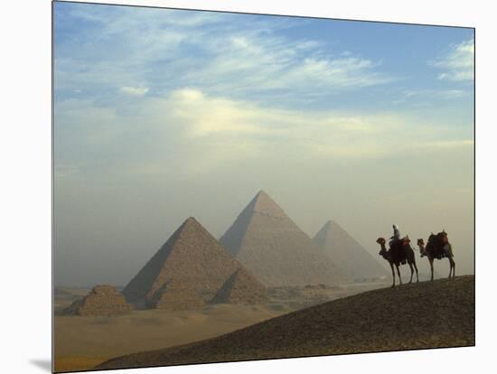 Camels and Driver at the Pyramids Complex, Egypt-Claudia Adams-Mounted Photographic Print