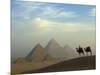 Camels and Driver at the Pyramids Complex, Egypt-Claudia Adams-Mounted Photographic Print