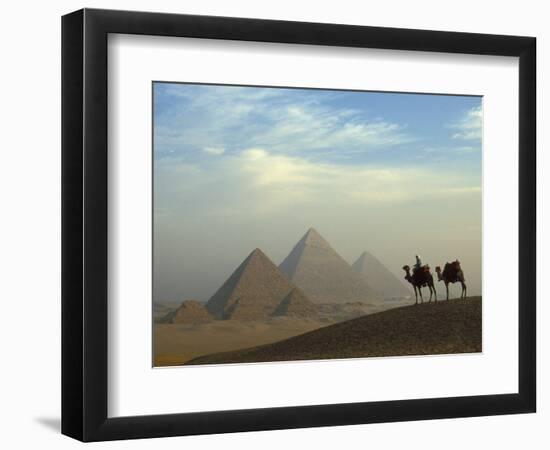 Camels and Driver at the Pyramids Complex, Egypt-Claudia Adams-Framed Photographic Print