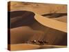 Camels and Dunes, Erg Chebbi, Sahara Desert, Morocco-Peter Adams-Stretched Canvas