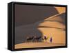 Camels and Dunes, Erg Chebbi, Sahara Desert, Morocco-Peter Adams-Framed Stretched Canvas