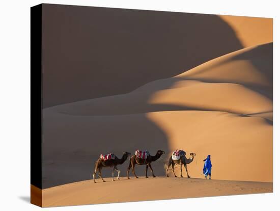 Camels and Dunes, Erg Chebbi, Sahara Desert, Morocco-Peter Adams-Stretched Canvas