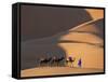 Camels and Dunes, Erg Chebbi, Sahara Desert, Morocco-Peter Adams-Framed Stretched Canvas