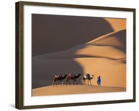 Camels and Dunes, Erg Chebbi, Sahara Desert, Morocco-Peter Adams-Framed Photographic Print