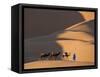 Camels and Dunes, Erg Chebbi, Sahara Desert, Morocco-Peter Adams-Framed Stretched Canvas