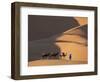 Camels and Dunes, Erg Chebbi, Sahara Desert, Morocco-Peter Adams-Framed Photographic Print