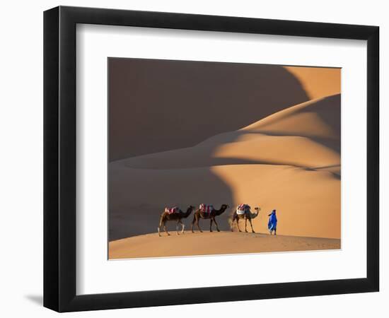 Camels and Dunes, Erg Chebbi, Sahara Desert, Morocco-Peter Adams-Framed Photographic Print