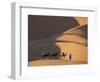 Camels and Dunes, Erg Chebbi, Sahara Desert, Morocco-Peter Adams-Framed Photographic Print