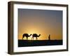 Camels and Guide, Zaafrane, Tunisia, North Africa-David Poole-Framed Photographic Print