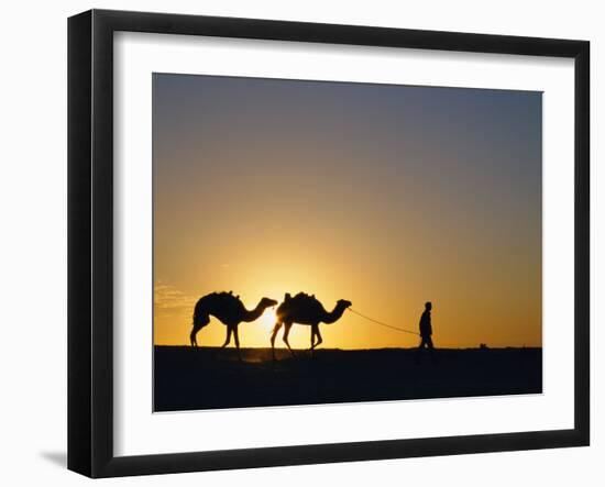 Camels and Guide, Zaafrane, Tunisia, North Africa-David Poole-Framed Photographic Print