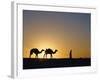 Camels and Guide, Zaafrane, Tunisia, North Africa-David Poole-Framed Photographic Print