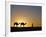 Camels and Guide, Zaafrane, Tunisia, North Africa-David Poole-Framed Photographic Print