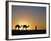 Camels and Guide, Zaafrane, Tunisia, North Africa-David Poole-Framed Photographic Print