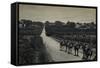 Camels and Orange Groves, Palestine-null-Framed Stretched Canvas