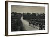 Camels and Orange Groves, Palestine-null-Framed Photographic Print