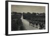 Camels and Orange Groves, Palestine-null-Framed Photographic Print